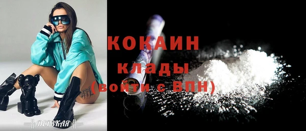 шишки Иннополис
