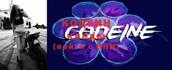 шишки Иннополис