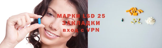 шишки Иннополис