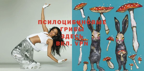 мет Карпинск