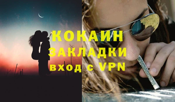 шишки Иннополис